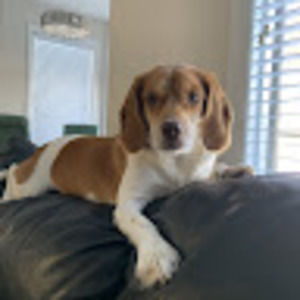 Meet your Posher, Gia